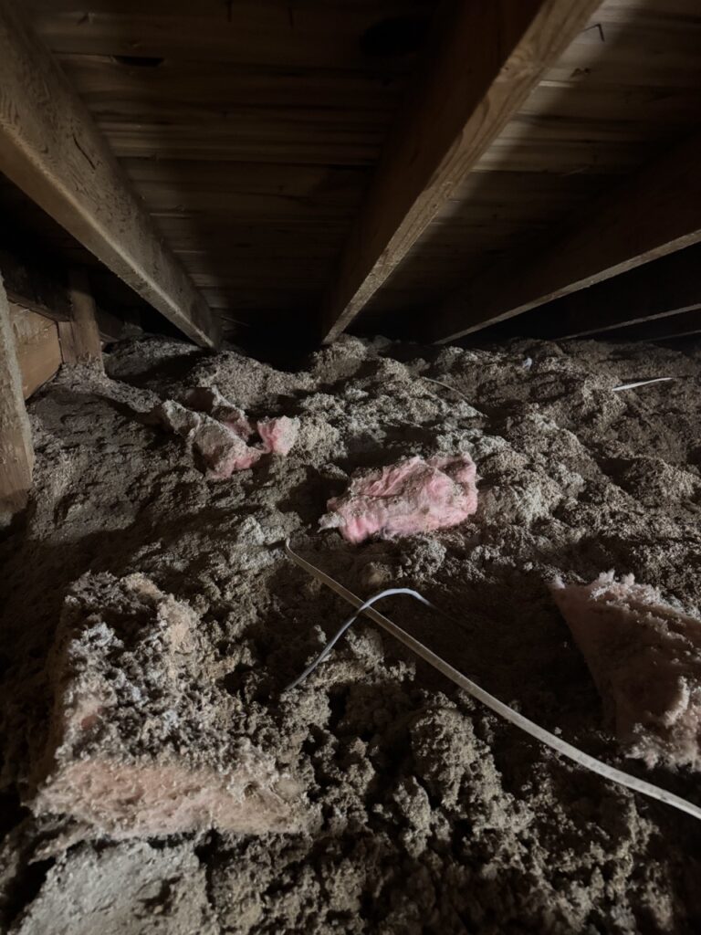 Messy, damaged insulation requiring attic insulation removal Fargo.