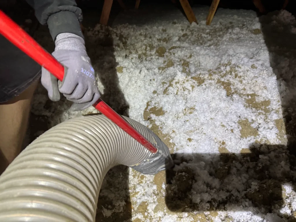 Attic insulation removal Fargo vacuum insulation removal